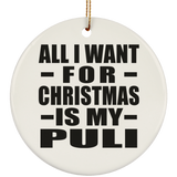 All I Want For Christmas Is My Puli - Circle Ornament