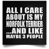 All I Care About Is My Norfolk Terrier - Poster Square
