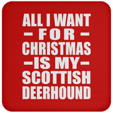 All I Want For Christmas Is My Scottish Deerhound - Coaster