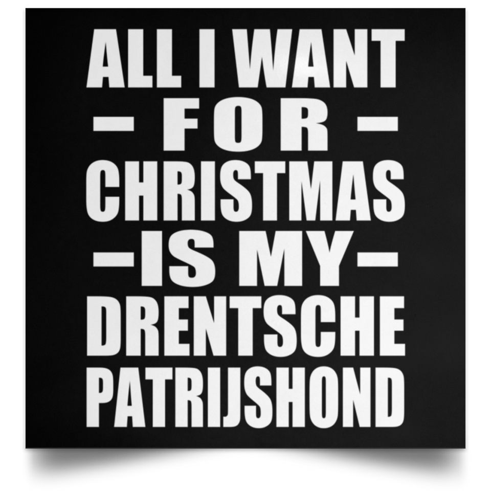 All I Want For Christmas Is My Drentsche Patrijshond - Poster Square