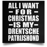 All I Want For Christmas Is My Drentsche Patrijshond - Poster Square