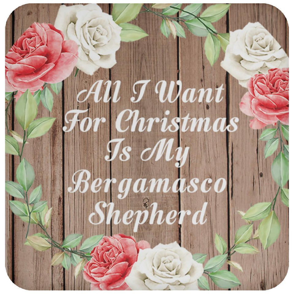 All I Want For Christmas Is My Bergamasco Shepherd - Drink Coaster B
