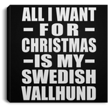 All I Want For Christmas Is My Swedish Vallhund - Canvas Square