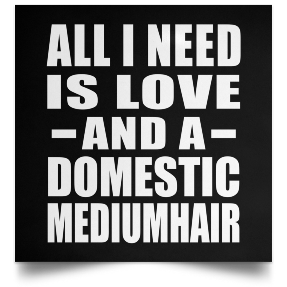 All I Need Is Love And A Domestic Mediumhair - Poster Square