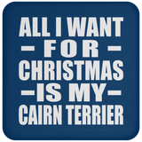 All I Want For Christmas Is My Cairn Terrier - Coaster