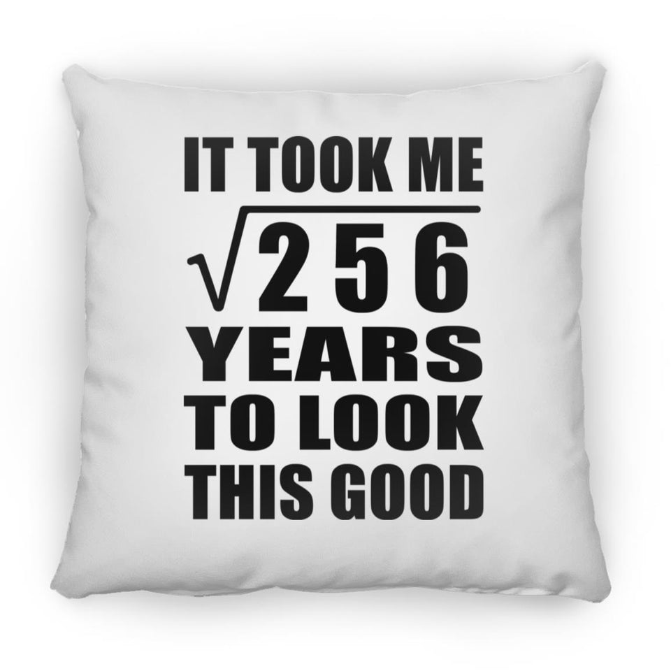 16th Birthday Took Square Root of 256 Years To Look Good - Throw Pillow