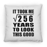 16th Birthday Took Square Root of 256 Years To Look Good - Throw Pillow