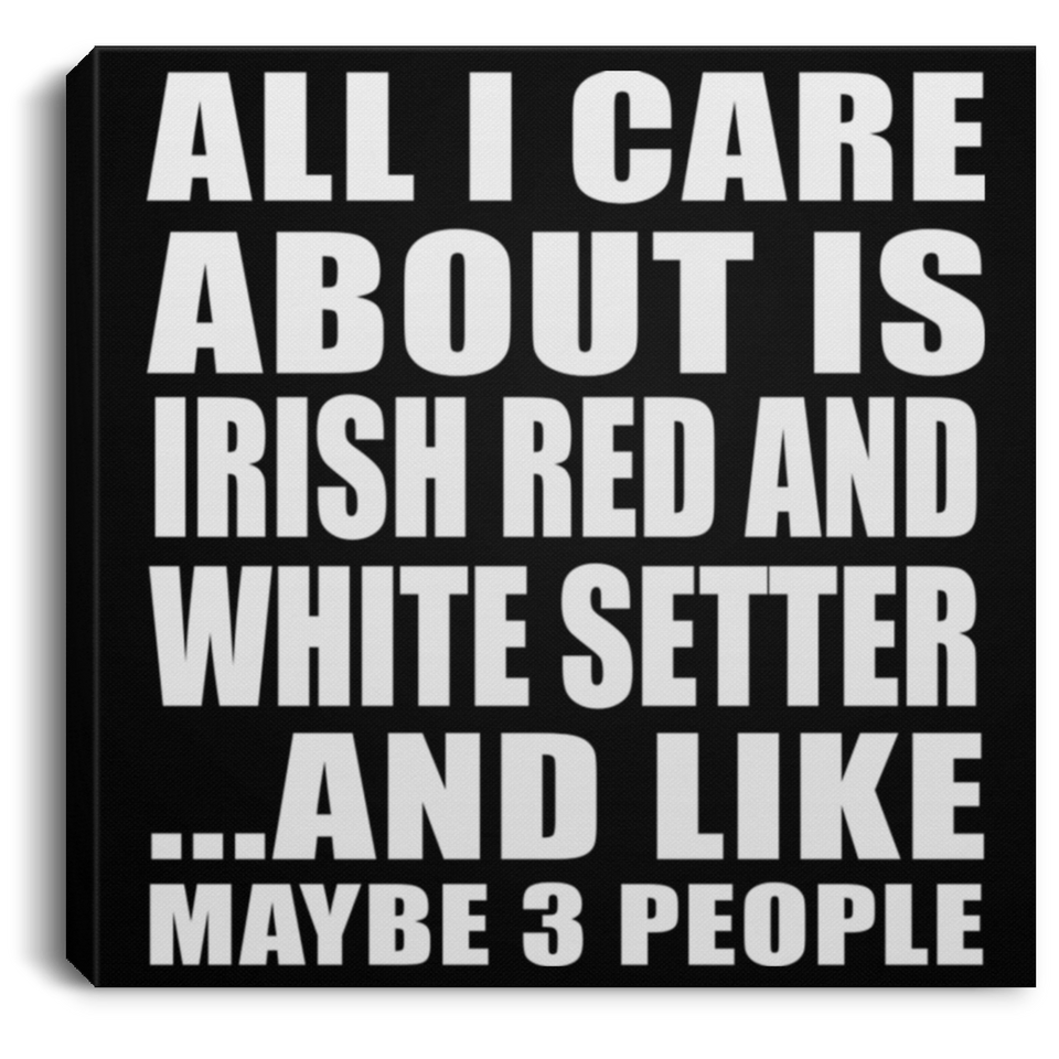 All I Care About Is Irish Red And White Setter - Canvas Square