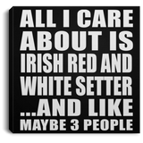 All I Care About Is Irish Red And White Setter - Canvas Square