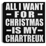 All I Want For Christmas Is My Chartreux - Canvas Square