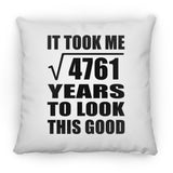 69th Birthday Took Square Root of 4761 Years To Look Good - Throw Pillow