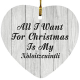 All I Want For Christmas Is My Xoloitzcuintli - Heart Ornament F