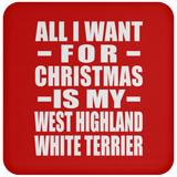 All I Want For Christmas Is My West Highland White Terrier - Coaster