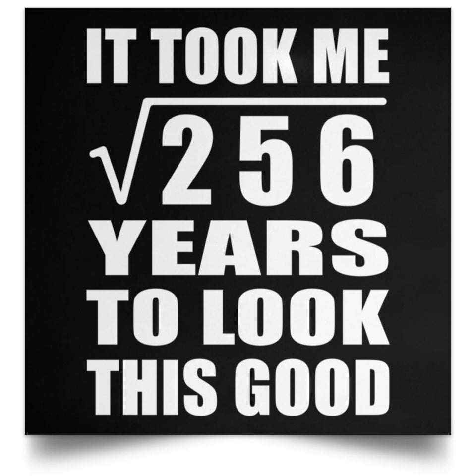 16th Birthday Took Square Root of 256 Years To Look Good - Poster Square