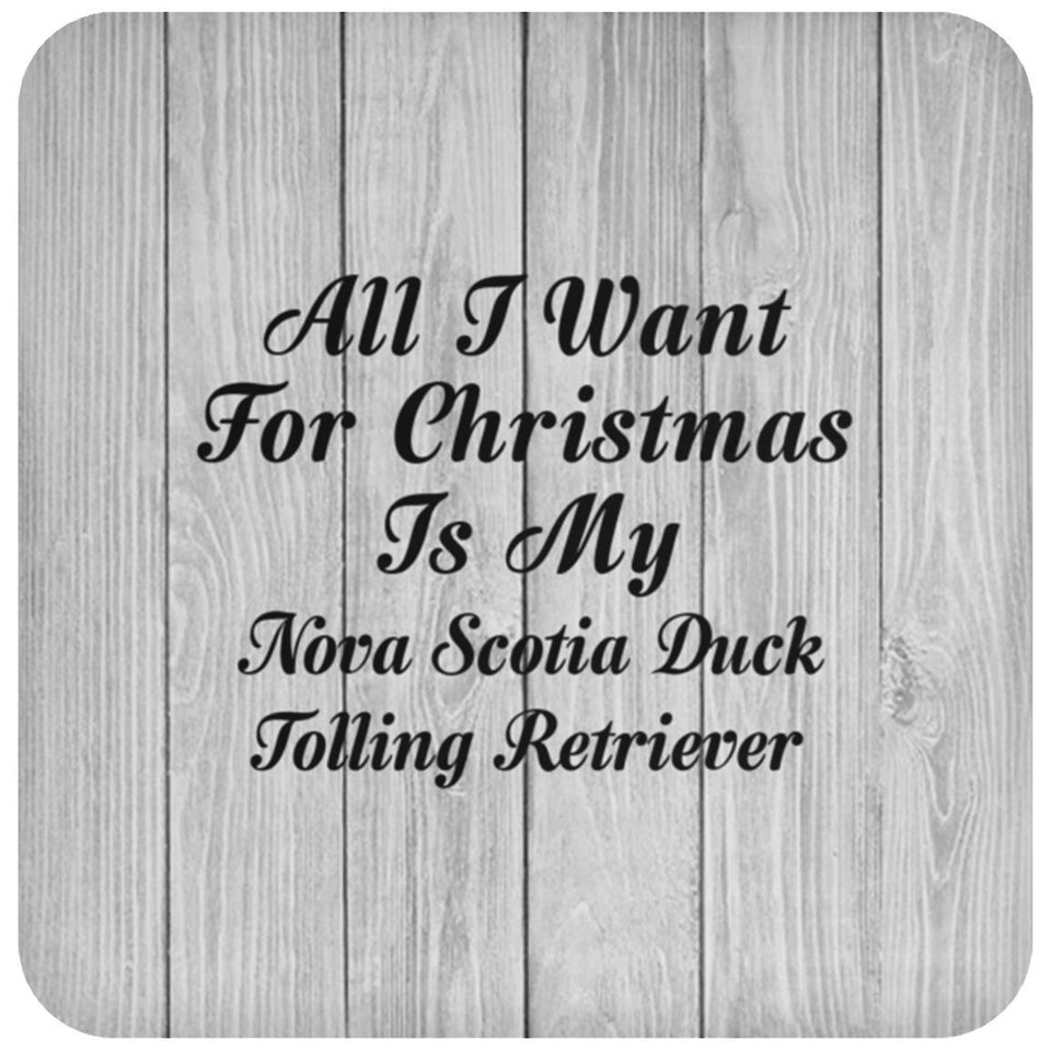 All I Want For Christmas Is My Nova Scotia Duck Tolling Retriever - Drink Coaster F