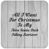 All I Want For Christmas Is My Nova Scotia Duck Tolling Retriever - Drink Coaster F