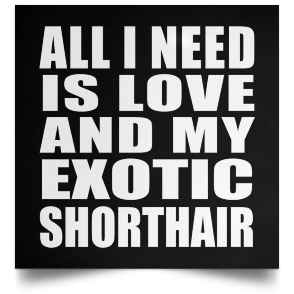 All I Need Is Love And My Exotic Shorthair - Poster Square