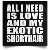All I Need Is Love And My Exotic Shorthair - Poster Square