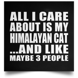 All I Care About Is My Himalayan Cat - Poster Square