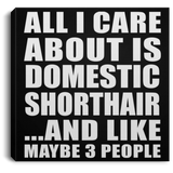 All I Care About Is Domestic Shorthair - Canvas Square