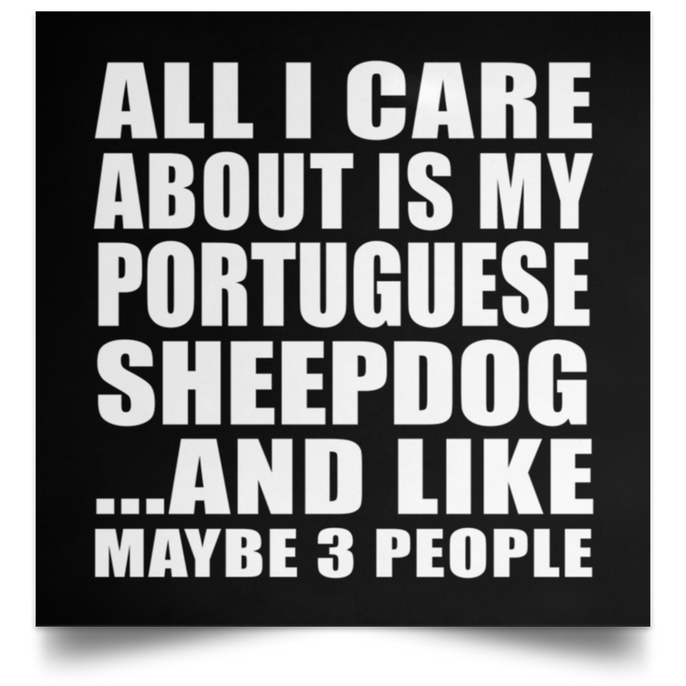 All I Care About Is My Portuguese Sheepdog - Poster Square