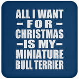All I Want For Christmas Is My Miniature Bull Terrier - Coaster