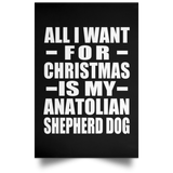 All I Want For Christmas Is My Anatolian Shepherd Dog - Poster Portrait