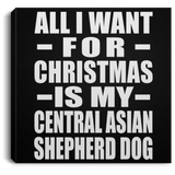 All I Want For Christmas Is My Central Asian Shepherd Dog - Canvas Square