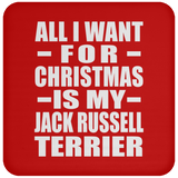 All I Want For Christmas Is My Jack Russell Terrier - Coaster