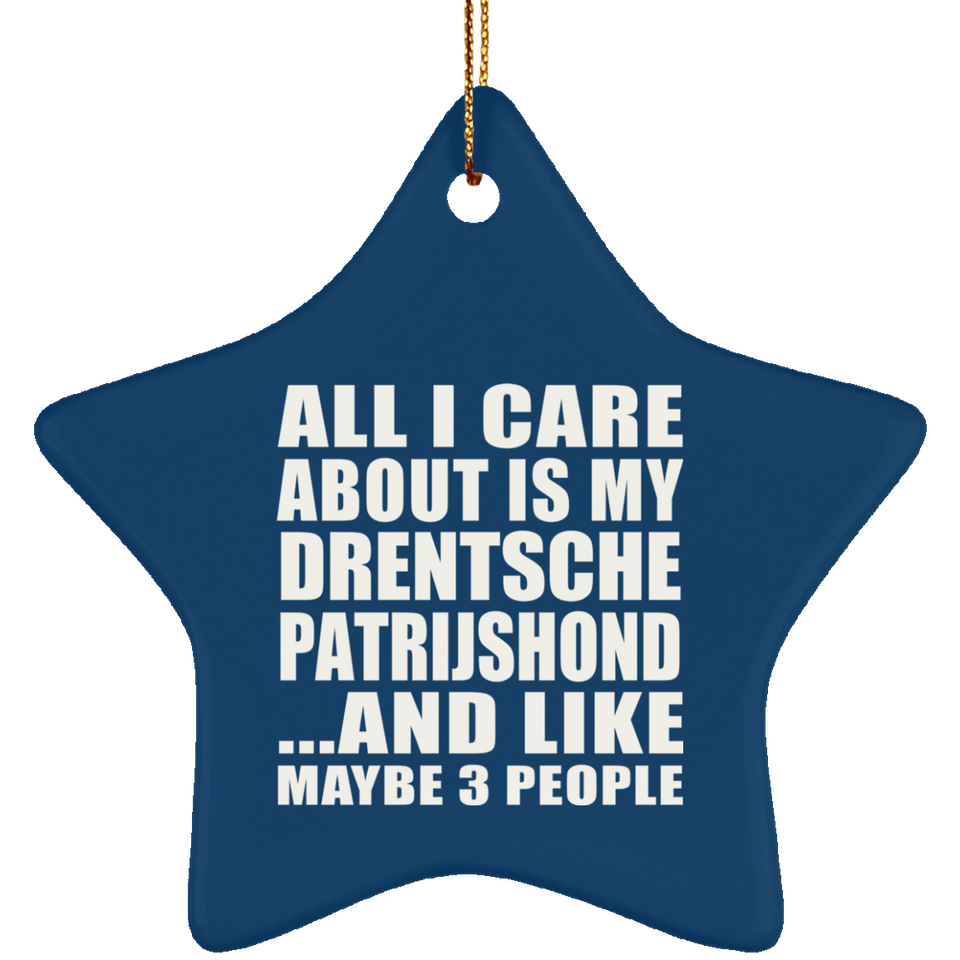 All I Care About Is My Drentsche Patrijshond - Star Ornament