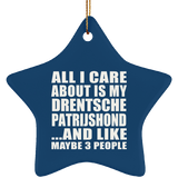 All I Care About Is My Drentsche Patrijshond - Star Ornament