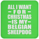 All I Want For Christmas Is My Belgian Sheepdog - Coaster