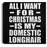 All I Want For Christmas Is My Domestic Longhair - Canvas Square