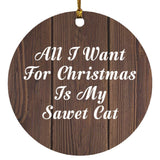 All I Want For Christmas Is My Sawet Cat - Circle Ornament D