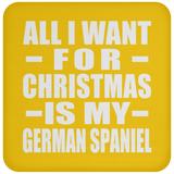 All I Want For Christmas Is My German Spaniel - Coaster