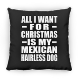 All I Want For Christmas Is My Mexican Hairless Dog - Throw Pillow Black