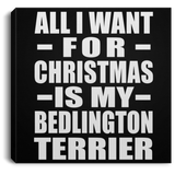 All I Want For Christmas Is My Bedlington Terrier - Canvas Square