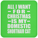 All I Want For Christmas Is My Domestic Shorthair Cat - Coaster