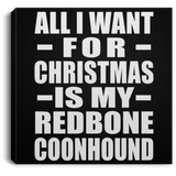 All I Want For Christmas Is My Redbone Coonhound - Canvas Square