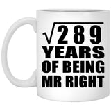 17th Anniversary Square Root of 289 Years of Being Mr Right - 11oz Coffee Mug