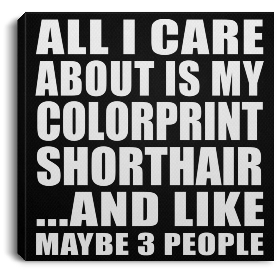 All I Care About Is My Colorprint Shorthair - Canvas Square