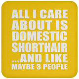 All I Care About Is Domestic Shorthair - Coaster