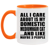 All I Care About Is My Domestic Mediumhair Cat - 11oz Accent Mug Orange