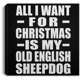 All I Want For Christmas Is My Old English Sheepdog - Canvas Square