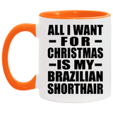 All I Want For Christmas Is My Brazilian Shorthair - 11oz Accent Mug Orange