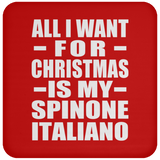 All I Want For Christmas Is My Spinone Italiano - Coaster