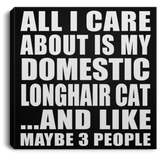 All I Care About Is My Domestic Longhair Cat - Canvas Square