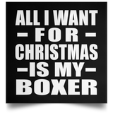 All I Want For Christmas Is My Boxer - Poster Square