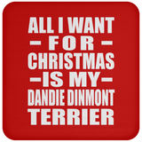 All I Want For Christmas Is My Dandie Dinmont Terrier - Coaster