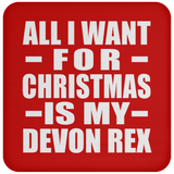 All I Want For Christmas Is My Devon Rex - Coaster